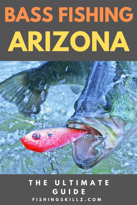 Arizona Fishing: Guides For Bass And Trout .